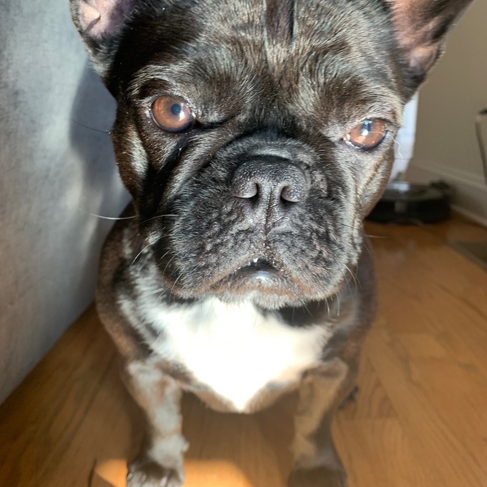 ❤️Welcome! I’m Matilda!!❤️